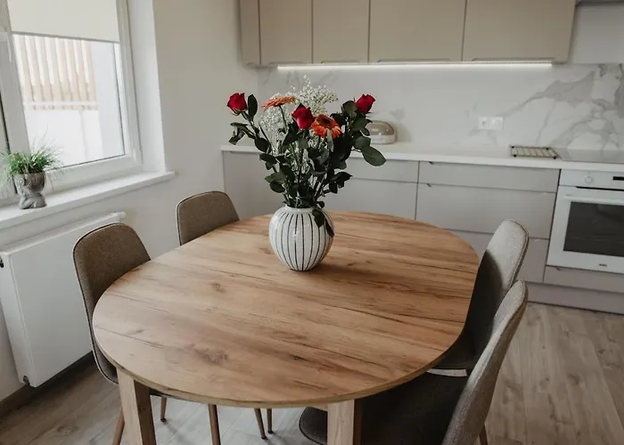 Soft Loft 公寓 什切齐内克